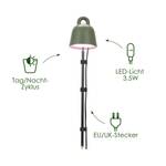 leaf light care 36cm laubgrün